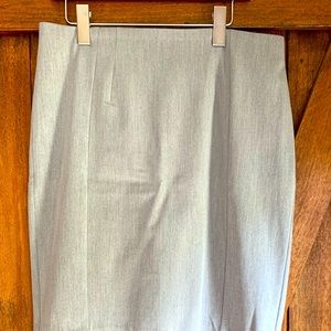 Gray Express Fitted Skirt